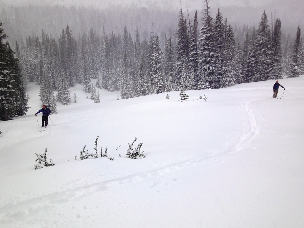Miller Avalanche 1 Miller Avalanche 1