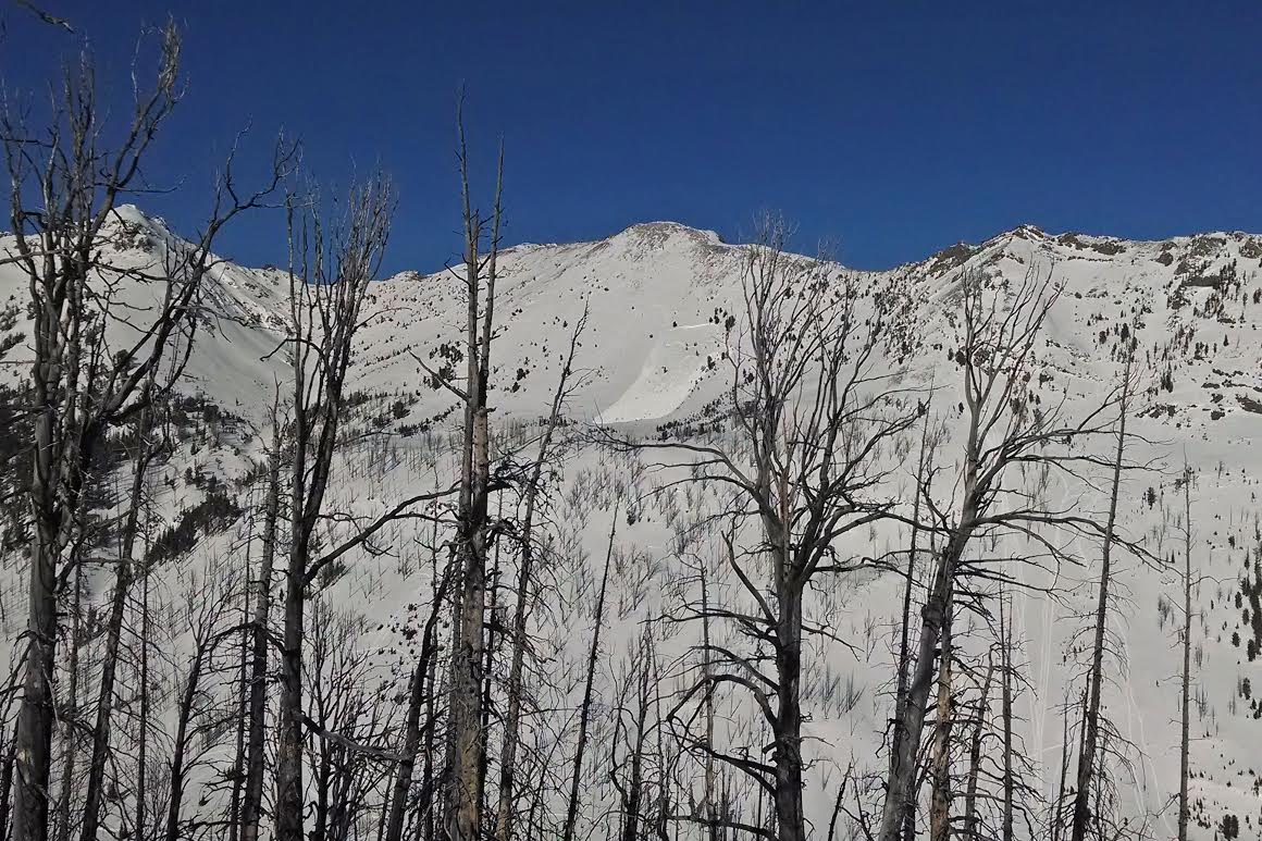 Sheep Basin Avalanche Sheep Basin Avalanche