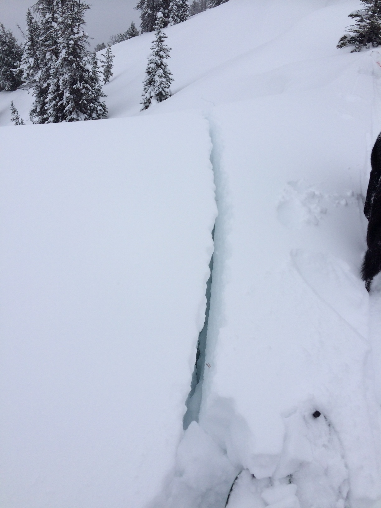 Large crack near Hebgen Lake - 2/15/14 Large crack near Hebgen Lake - 2/15/14